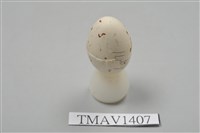 藏品(鶲卵)的圖片